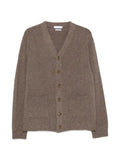 Daniele Fiesoli button-up V-neck cardigan