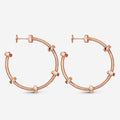 CARTIER NUTS AND BOLTS PINK GOLD EARRINGS